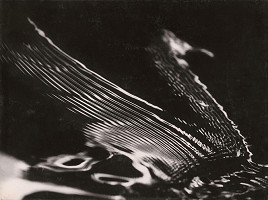 Martin Martinček – Labuť 