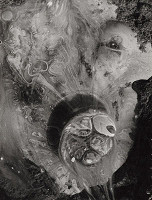 Martin Martinček – Hlava astronauta 