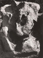 Martin Martinček – Býk 