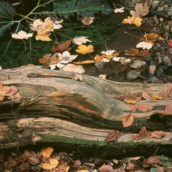 Martin Martinček – Hora XIII. 