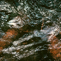 Martin Martinček – Chvála vody V. 