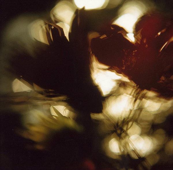 Martin Martinček – Rozkvitnutý deň II. 