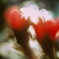 Martin Martinček – Rozkvitnutý deň IV. 