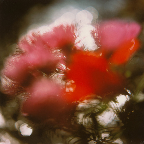 Martin Martinček – Rozkvitnutý deň XIII. 