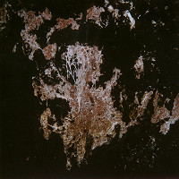 Martin Martinček – Umenie umierajúcich stromov I. 