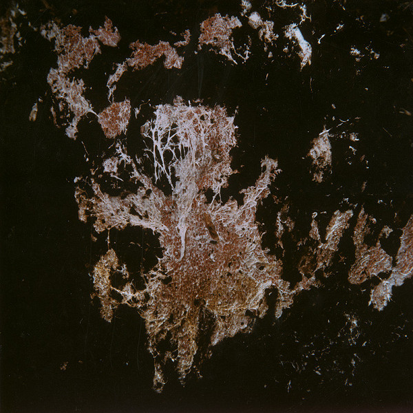 Martin Martinček – Umenie umierajúcich stromov I. 