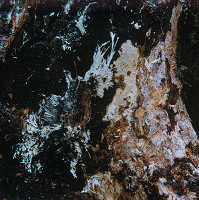 Martin Martinček – Umenie umierajúcich stromov V. 