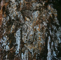 Martin Martinček – Umenie umierajúcich stromov VII. 