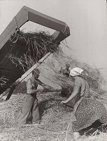 Martin Martinček – Stohovanie I. 