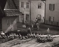 Martin Martinček – Ráno v Liptovskej Tepličke 