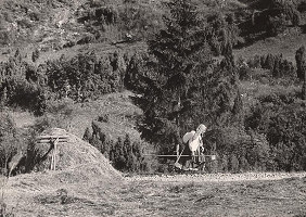 Martin Martinček – Hrabáčka I. 