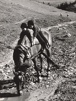 Martin Martinček – Malí jazdci I. 