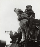 Tibor Honty – Z Matějské pouti 