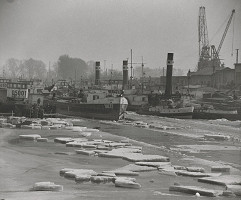 Ester Plicková – Bratislava. Predjarie v prístave  