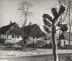 Ester Plicková – Krása hliny. Hrnčiarska dedina Pozdišovce 