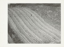 Ondrej Nosál – Panelák na Dlhých dieloch I. 