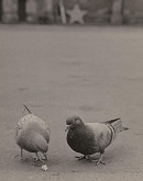 Ladislav Csáder – Bez názvu III. 