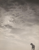 Ladislav Csáder – Bez názvu IV. 