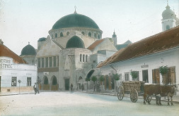 Jan Plischke – Trenčín. Synagóga 