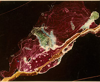 Jean Michel Kollar – Abstraktný svet. Laboratórne kvety 