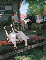 Lucia Nimcová – Unofficial III. 