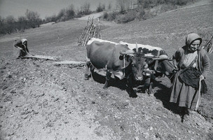 Juraj Bartoš – Orava 