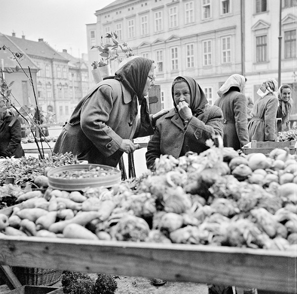 Ján Cifra – Staré mesto 