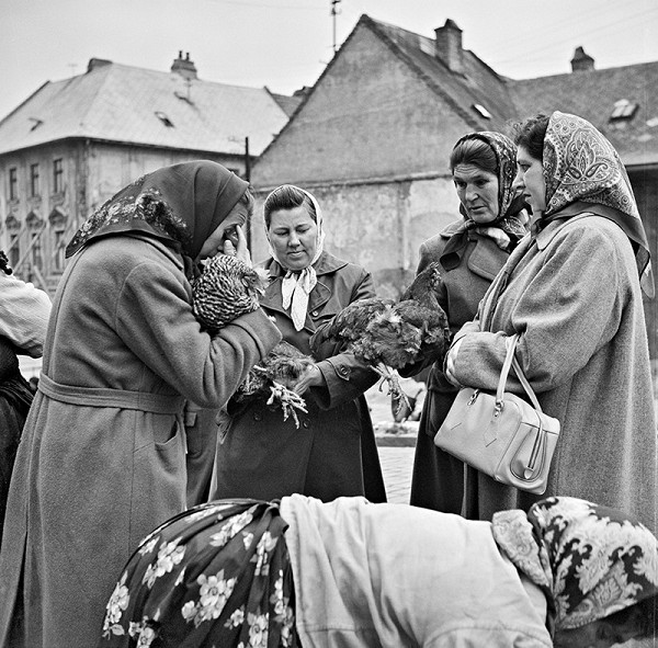 Ján Cifra – Staré mesto 