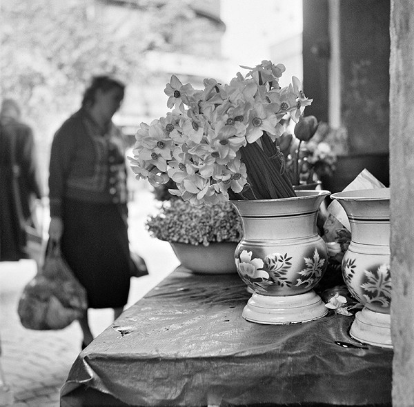 Ján Cifra – Staré mesto 