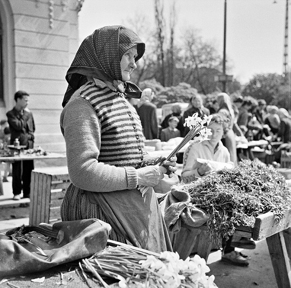 Ján Cifra – Staré mesto 