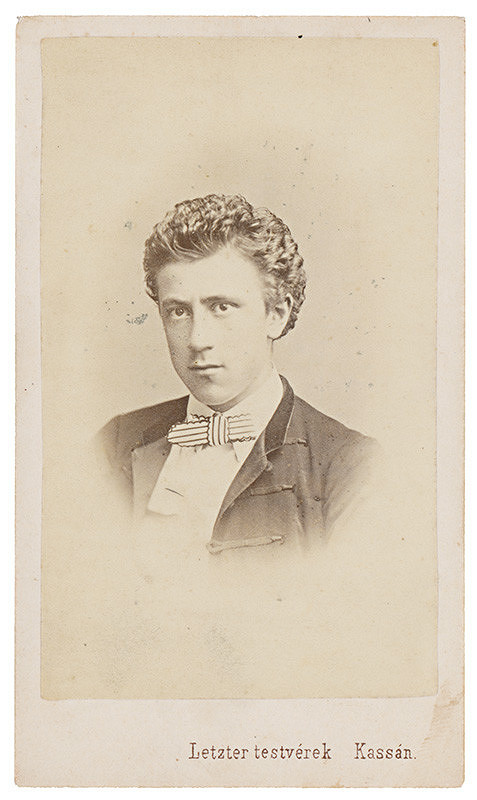 Letzter testvérek – Portrét mladého muža 