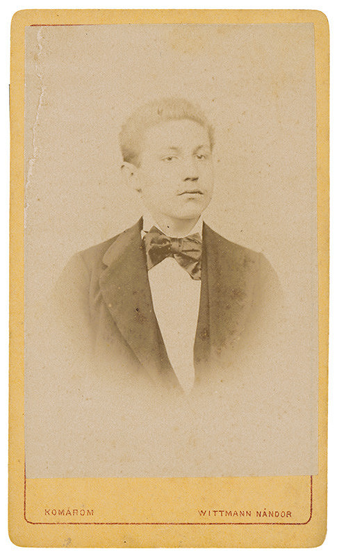 Ferdinand Wittmann – Portrét mladého muža 
