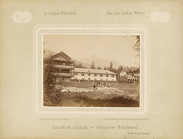 Károly Divald – Domy v Smokovci 