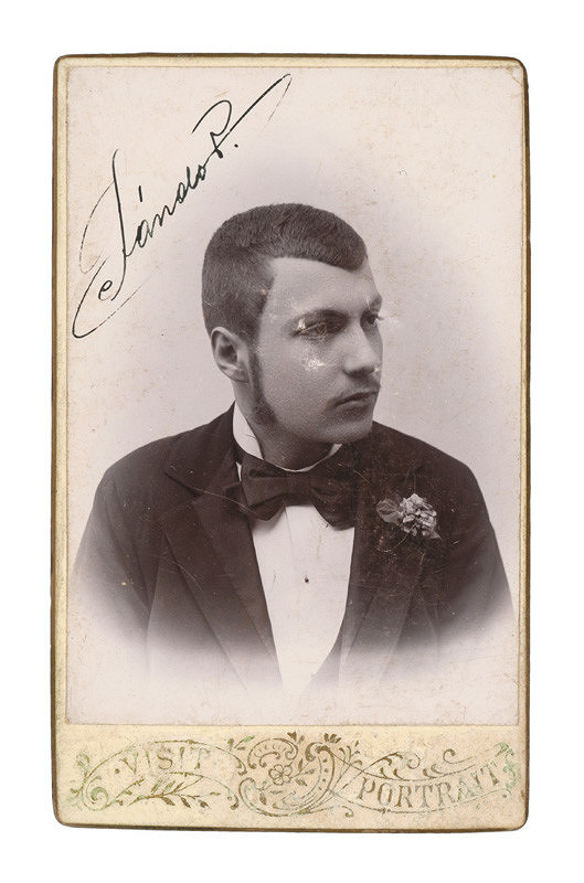 Dezső Pólányi – Portrét mladého muža 