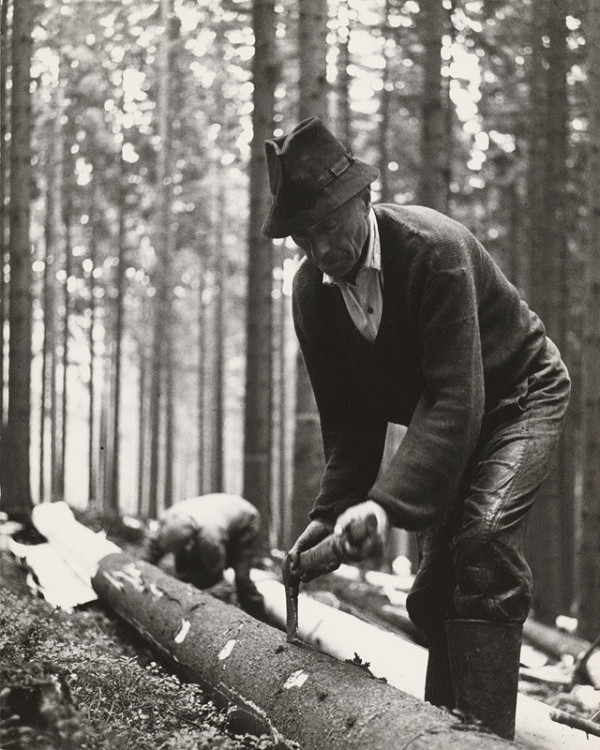 Igor Grossmann – Ťažba dreva. Čadca