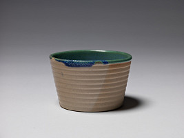 Simona Janišová – Anachronik. Miska Vanguard 