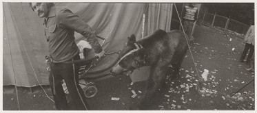 Tomáš Fassati – Radvanský jarmok (Jarmok Svet) 