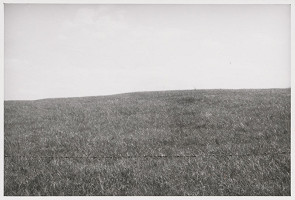 Tomáš Fassati – Symbióza 