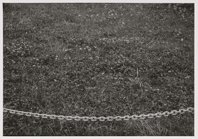 Tomáš Fassati – Symbióza 