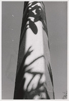 Tomáš Fassati – Symbióza 