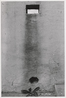 Tomáš Fassati – Symbióza 