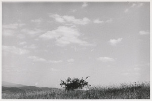 Tomáš Fassati – Symbióza 