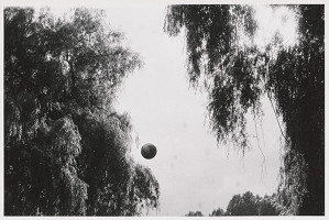 Tomáš Fassati – Symbióza 