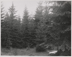 Tomáš Fassati – Symbióza 