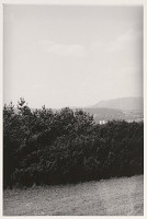 Tomáš Fassati – Symbióza 