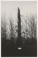 Tomáš Fassati – Symbióza 