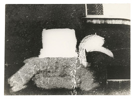 Zuzana Mináčová – Návšteva 