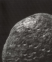 Pavel Janek – Náš každodenný VIII. 