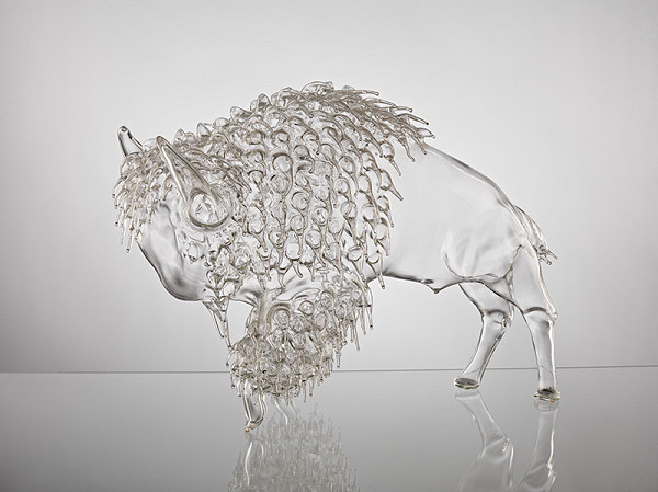 Věra Lišková – Bizón 