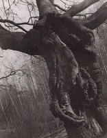 Irena Blühová – Varianty I. 